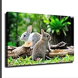 Cute Rabbit Poster Canvas Painting Picture Modern Office Family Bedroom Decorative Posters Gift Wall