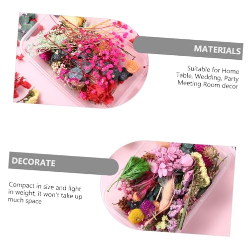 6 Cajas de Flores Secas Naturales para Manualidades miniatura 5