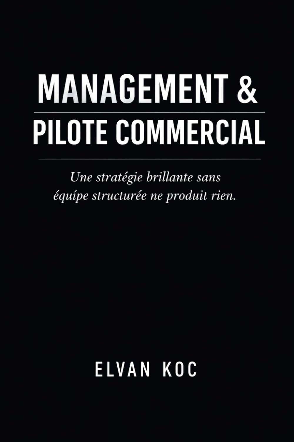 MANAGEMENT & PILOTE COMMERCIAL: Une stratégie brillante sans équipe structurée ne produit rien