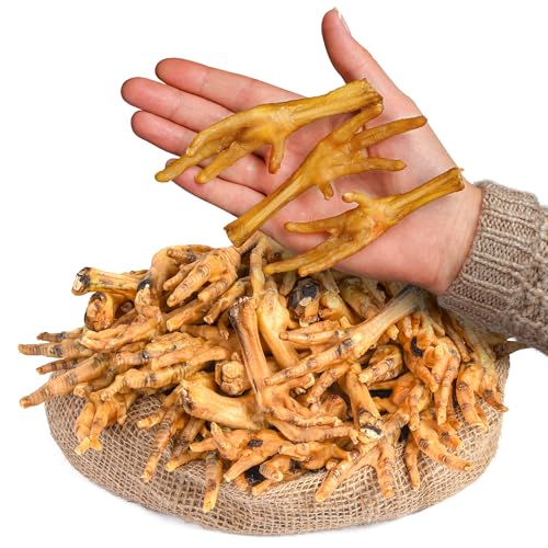 All Natural Chicken Feet Dog Treats (50 pcs) | Dehydrated