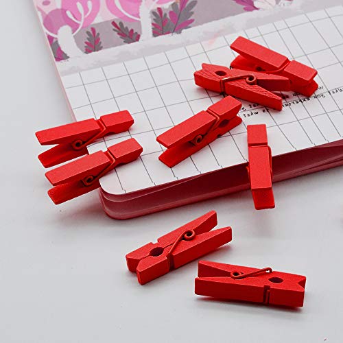 SENDILI Mollette Legno Piccole - 3.5 CM Colorate