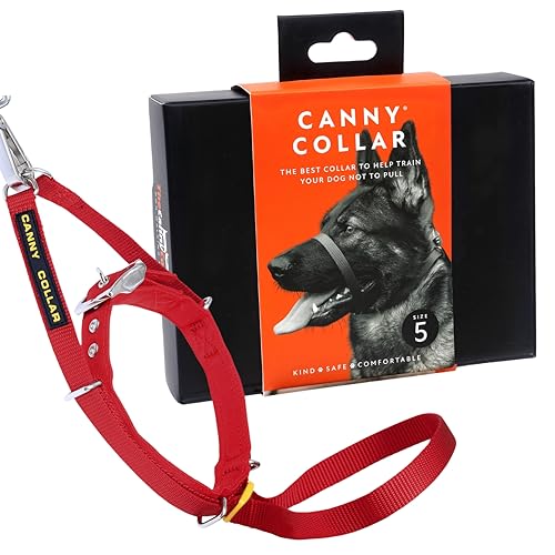 Canny Collar – Licol de Dressage Anti-Traction pour Chien | Apprend à Ne Pas Tirer en Laisse | Doux, Confortable et Sûr | Facile à Utiliser – Taille 5, Rouge