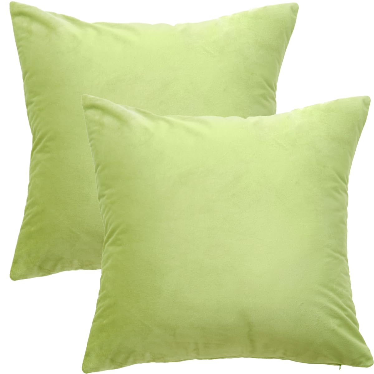 GONOVE Cushion Covers 55x55cm Decorative Modern Throw Pillow Case Pack of 2 Velvet Soft Pillow Cushion Covers Square Grass Green Pillowcase for Livingroom Sofa Bedroom