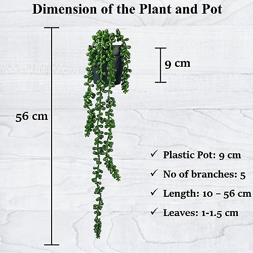 Image of Tdas Plastic & Tpe Artificial Succulent Plants Hanging Flowers Home Decor Items Plant Leaves For Living Room Hall Decorative Decoration Office In Pot (Green, 2-Pcs Hanging Succulent With Pot)