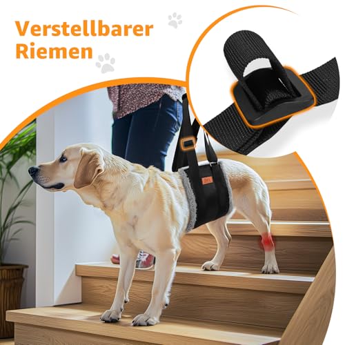 Verstellbare Hunde-Tragehilfe, Tragbarer Tragegurt zur Rehabilitation für behinderte, verletzte oder ältere Hunde - Hundegeschirr als Gehhilfe für kleine und große Hunde