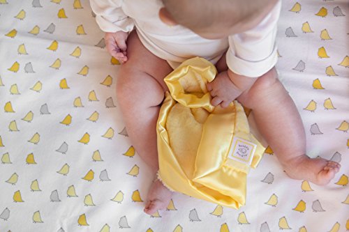 Swaddle Designs - Copertina multiuso per neonato