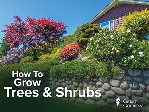 How to Grow Anything: Make Your Trees and Shrubs Thrive