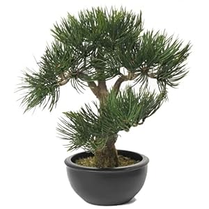 Kunstplant Bonsai boompje – Pinus Deniflora – kunst kamerplant – 33 cm
