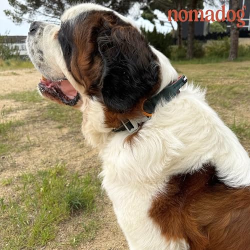 Nomadog Trailblazer Hundehalsband mit Griff für Große Hunde - Premium Aluminium Schnalle, Strapazierfähiges taktisches Halsband, Verstellbar, Gepolstert, Reflektierend (XL)