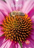 Bienenplaner (Wandkalender 2021 DIN A4 hoch)