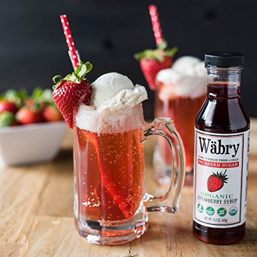 Image of Wabry Organic Syrup 14.9 oz Chocolate Hazelnut, Strawberry, Blueberry, Peach (Variety 4 Pack) BPA-Free Plastic