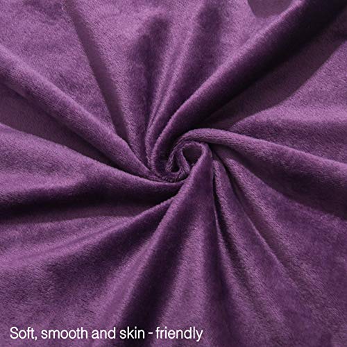 Image of NTBAY Zipped Velvet Toddler Pillowcases, 2 Pack Cozy Luxury Flannel Plush Travel Pillow Cases, 13x18 Inches, Purple
