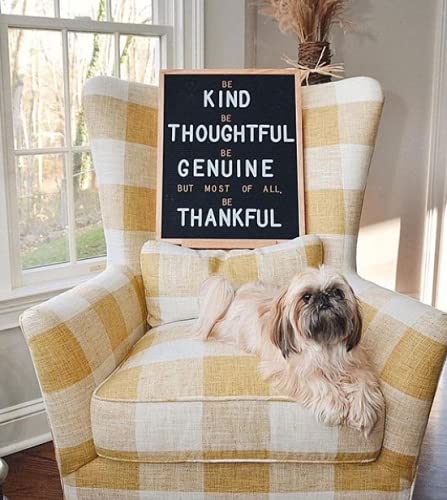 Felt Like Sharing Letter Board (Black Felt - 12”x16”) – Changeable Message Board with 3 Sets of Felt Board Letters for Home, Office & Aesthetic Room Decor – Wall Letterboard Signs In Oak Frame