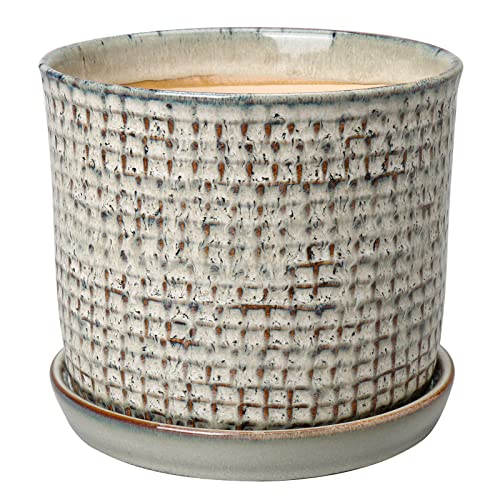 Oairse Macetas De Interior De Cerámica De 14 Cm, Macetas Pequeñas De Jardín Con Bandeja De Platillos Y Agujeros De Drenaje, Maceta Azul Para Suculentas, Cactus Para Plantas De Interior, Mini Hierbas Oairse Macetas De Interior De Cerámica De 14 Cm, Macetas Pequeñas De Jardín Con Bandeja De Platillos Y Agujeros De Drenaje, Maceta Azul Para Suculentas, Cactus Para Plantas De Interior, Mini Hierbas