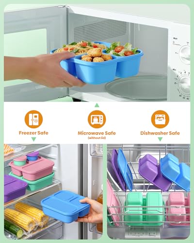 Canfanni 4-Piece Bento Box Set