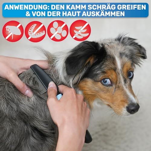BluePet Robuster Flohkamm & Läusekamm Für Hunde & Katzen I Flöhe, Läuse & Zecken entfernen I Sanfte abgerundete Zinken I Als feiner Hundekamm, Staubkamm, Nissenkamm nutzbar
