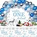 Winter Onederland Birthday Party Decorations, Boys 1st Birthday Party Banner Backdrop Tablecloth Blue Silver Snowflake Balloons Arch Kit for Winter Wonderland Snowflake Baby 1st Birthday Party Supplies