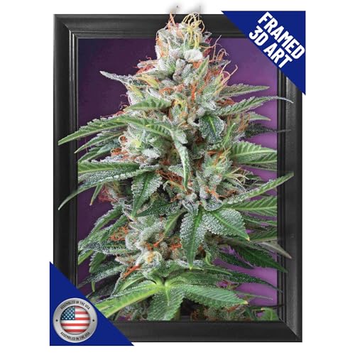 Trippy Marijuana Plant 3D Wall Art, 12x16, Purple Kush