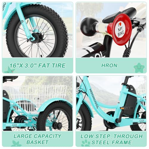 LILYPELLE Electric Tricycle for Youth, 250W Aluminum Frame