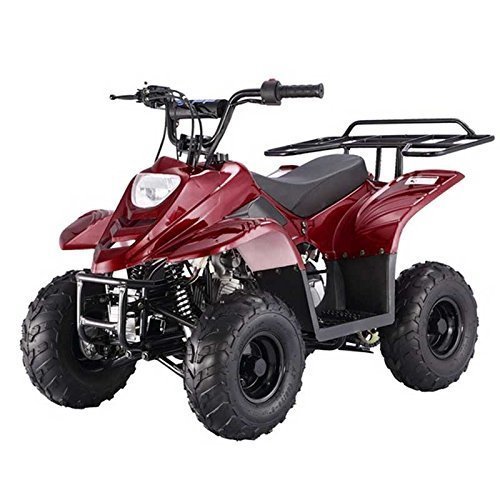 FamilyGoKarts Boulder 400XR Kids ATV in Burgundy