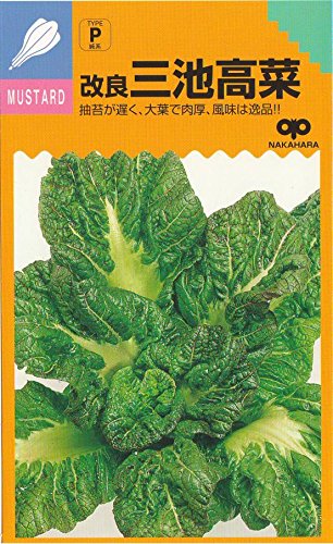 三池高菜　20kg 三池高菜 20kg