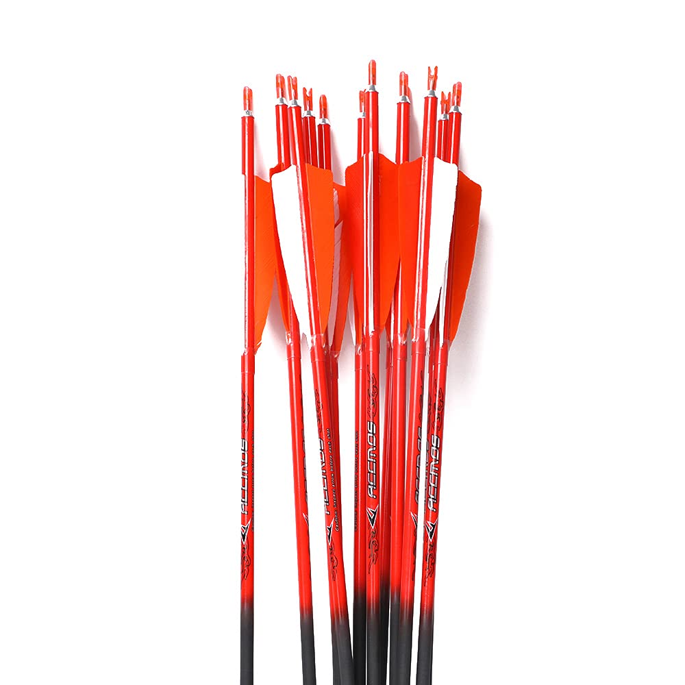 ACCMOS Spine 800 Flechas de Carbono 31" con 4" Pluma Natural, para Arco Largo Arco Recurvo Arco Compuesto Tiro al Arco Caza 12pz (12pcs, Spine 800)