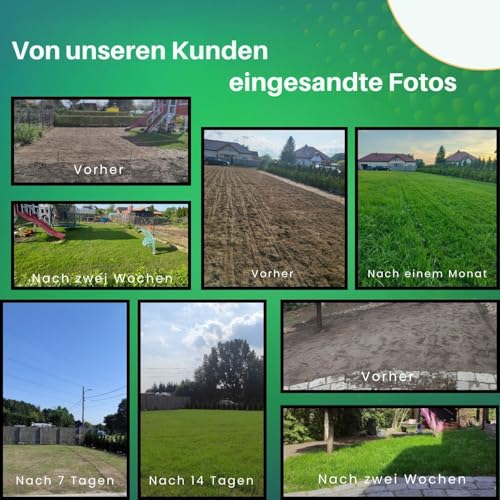 Rasensamen 5kg Sport und Spiel extra robust - schnellkeimend saatgut für 200m² - Rasensaat Sportrasen & Spielrasen - Grassamen für Neuansaat und Nachsaat - Rasen Frühjahr