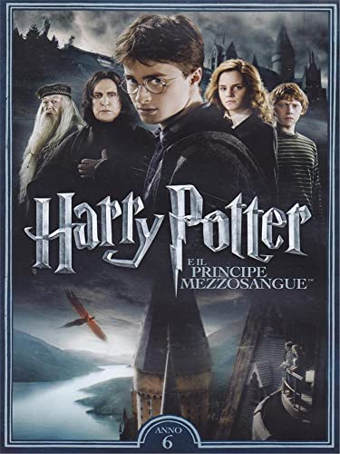 Dopo il ritorno di Voldemort e la tragica morte di Sirius Black, Harry trova conforto, guida e consolazione in Silente, che lo conduce ad Hogwarts e lo invita alla condivisione dei suoi ricordi