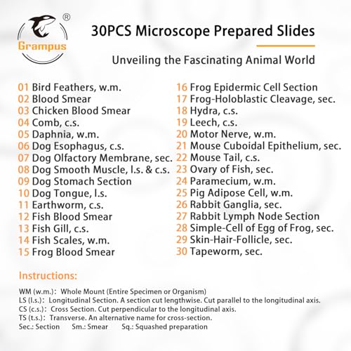 Image of 30 Prepared Microscope Slides with Specimens for Kids Students - Animal Microscope Slide Sets for Biological Lab, Children's Science Education, Homeschooling