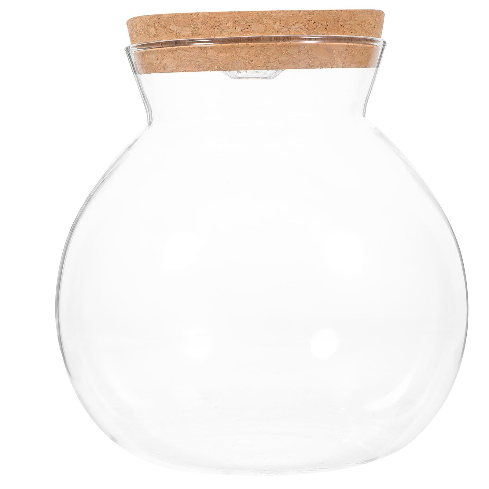 Abaodam Terrario in Vetro con Base a Luce Led, Piccolo Contenitore per Piante da Interno, Kit Fai-da-te per Micro-ecosistema Paesaggistico da Scrivania.