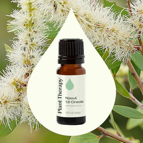 Aceite Esencial Niaouli 1,8-Cineole 10 mL Puro miniatura 3