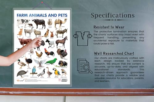 Image of FARM ANIMALS AND PETS CHART HARD LAMINATED | Animal Adventure Awaits: High-Quality Laminated Educational Guide
