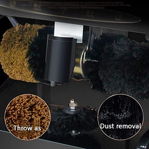 Electric Shoe Polisher with Automatic Induction, Dual Motor, Dust Removal & Polishing, Suitable for Hotel Entrance & Clubs, Dragon Claw Black, Silver(Copper)