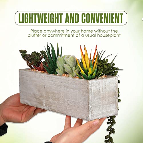 Houseables Succulent Arrangements, Faux Succulents Rectangular Planter, 11.5” X 7.5” X 3.75”, Artificial Assorted Plants, Table Centerpieces, Fake Plant Arrangement, Cactus Decoration, Rustic, Decor #TOP5