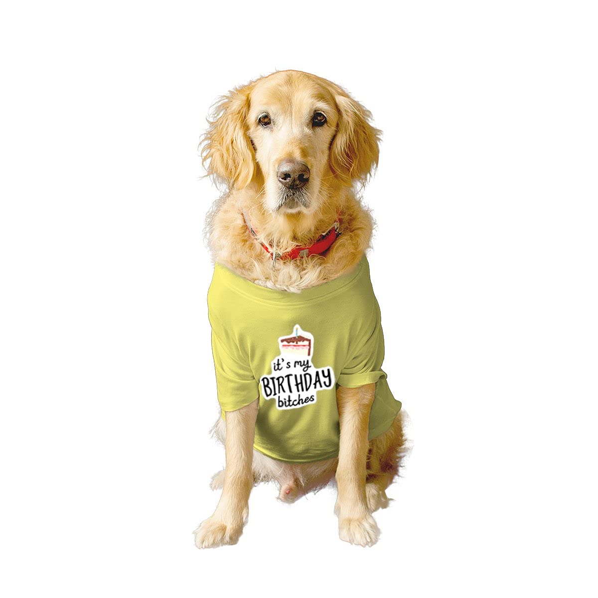 Ruse Basic Crew Neck Its My Birthday Bitches-2" Printed Half Sleeves/Apparel/Clothes/T-Shirt Gift for Dogs.Colour-Lemon Tonic/Medium (Chubby Pugs, Beagle etc.) (B0979B7JMQ) Amazon Price History, Amazon Price Tracker