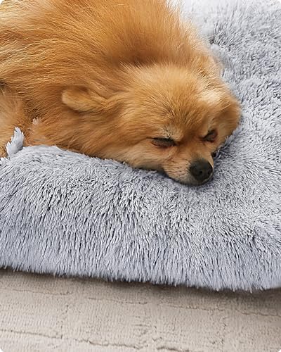 Feandrea Hundebett, Hundekissen, Flauschige Hundematte, Langer Plüsch, 65 x 45 cm, weiche Polsterung, maschinenwaschbar, multifunktional, Ombré-Grau PGW200G01