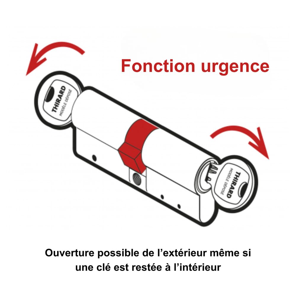 THIRARD Cylindre de serrure Transit 1, Débrayable, 45 x 55 mm, Nickelé | 5 clés réversibles incluses, haute sécurité, finition nickelée, montage facile, compatible porte d'entrée