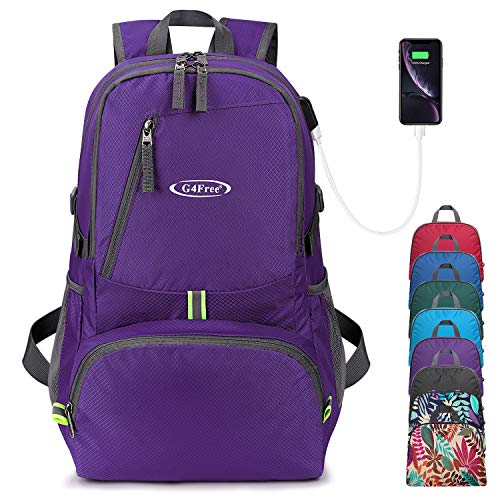 10 Best 10 Backpacks For Amusement Parks Reviews & Buying Guide of 2022