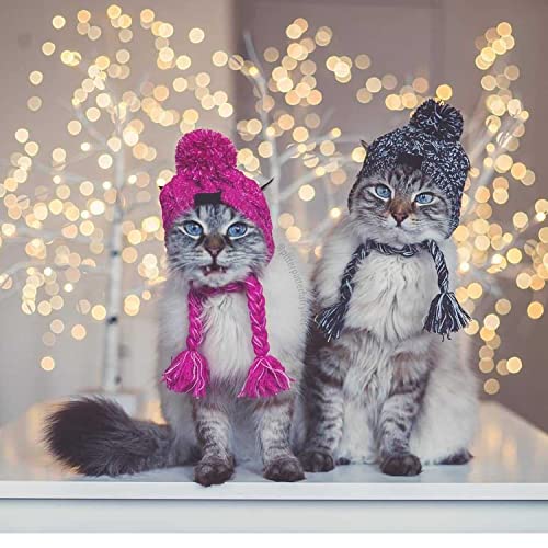 Treonca Dog Hat for Small Medium Dogs Pets Winter Warm Knitted Hat with Ear Holes Pink - Image 7