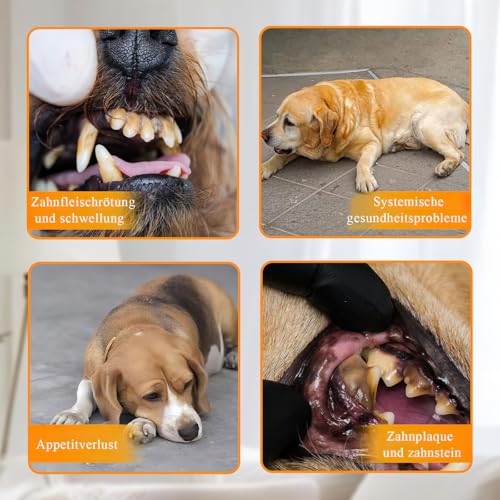 CIGAA Zahnsteinentferner, Zahnreiniger für Haustiere, Hund Zahnreinigung Kit, 5 einstellbare Modi Katzen Zahnreinigung Tools, Hund Zahnreinigung Set mit LED-Licht