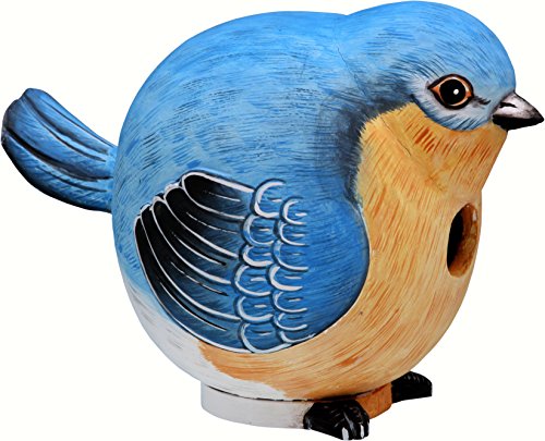Songbird Essentials SE3880058 Bluebird GORD-O Birdhouse (Set of 1)