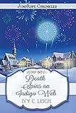 Death Spins An Indigo Web (Jumprope Chronicles)