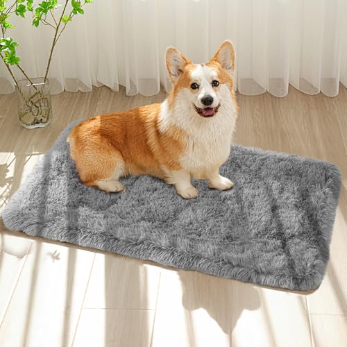 Small Bedside Rug, 2x3 Non Slip Fluffy Shaggy Entryway Throw Rugs for Bedroom Living Room, Indoor Floor Carpet for Kids Girls and Boys, Nursery Rooms Mat, Home Decor Aesthetic, Light Grey