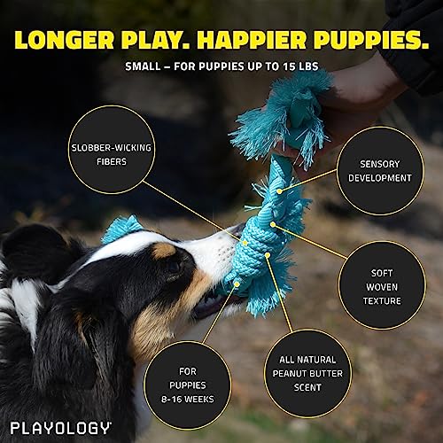 Playology Puppy Rope Dog Toys For Sensory Development, Small - Interactive Tug & Chew Dog Toys For Puppies 8-16 Weeks - Engaging All-Natural Peanut Butter Scented Toy #TOP1