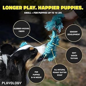 Playology Puppy Rope Dog Toys for Sensory Development – Interactive Tug & Chew Dog Toys for All Breeds of Puppies 8-16 Weeks (Up to 35 lbs) – Engaging All-Natural Peanut Butter Scented