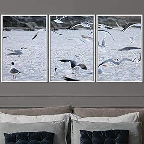signwin 3 Piece Framed Canvas Wall Art Birds...