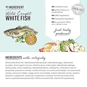   The-Honest-Kitchen-Dehydrated-Grain-Free-Fish-Dog-Food-2-lb-Box