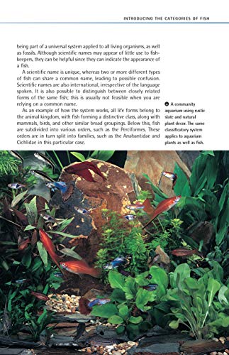 Freshwater Aquariums: Basic Aquarium Setup and Maintenance (CompanionHouse Books) Beginner-Friendly Guide to Keeping Fish, Choosing Varieties, Setting the Tank, Achieving Optimum Water Quality, & More