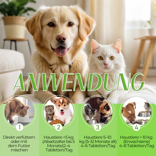 Probiotika Hund, Probiotika Katze, Darmflora Aufbauen Hund und Katzen, 80 Tabletten, Vitamin A, Vitamin B1, Vitamin B2, Fördert Die Verdauungsgesundheit und Beugt Fettleibigkeit Vor, Katzen und Hunde