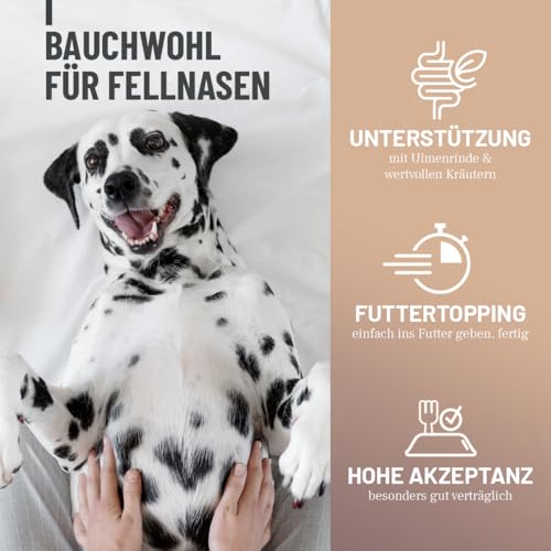 ReaVET Magenpulver für Hunde 300g mit Ulmenrinde ohne Aufkochen I sekundierend bei Durchfall, Blähungen, Grasfressen I Verdauungsunterstützung – Futtertopping Magen & Darm Pulver Slippery Elm Bark
